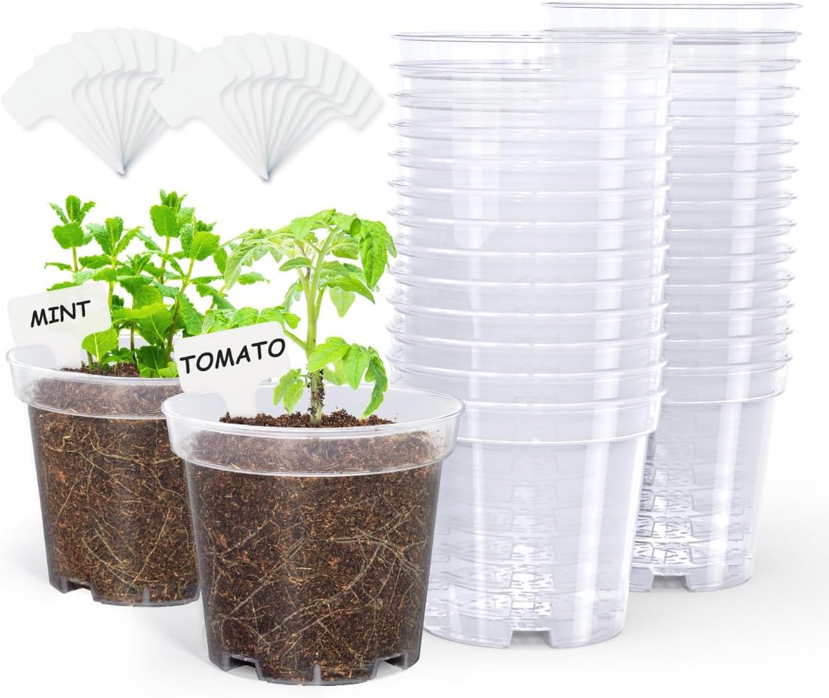 homenote Clear Nursery Pots for Plants,4 Inch Plant Pot for Planting Plastic Seedling with Drainage Holes Seed Starter Flower High Transparency with 20 Labels (30 Pack)
