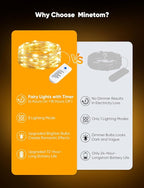 Minetom 12 Pack Fairy Lights Battery Operated String Lights, 8 Modes & Timer, 7ft 20LED Waterproof Silver Wire Twinkle Lights, Firefly Starry Moon Lights for Mason Jars DIY Christmas Wedding Party