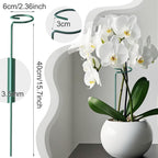 24 Pack Plant Support Stakes, 16 Inch Metal Garden Plant Stakes Single Stem Support Rings for Indoor Outdoor Amaryllis, Flowers Orchid, Lily, Peony, Rose, Tomato, Monstera, Narcissus