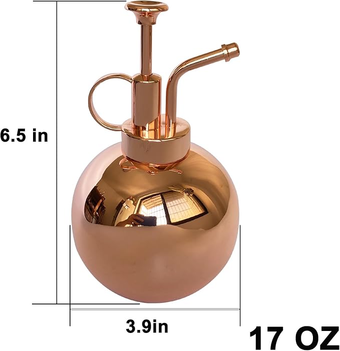 Stainless Steel Plant Sprayer, Small Watering Can Plant Misting Bottle, Modern Gardening Tools for Indoor Potted Plants Watering and Misting
