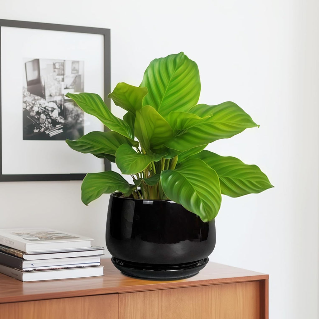 G EPGardening Ceramic Planter 7 Inch - Ceramic Pot for Plants with Drainage and Saucer, Round Plant Pots, Modern Indoor Outdoor Planter, Home Decor, Garden Gifts, Black