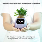 Smart Pet Planter, Smart Plant Pot, With Artificial Intelligence, Time Weather Display, And Multiple Expressions Animation,Lovely Plant Companion, For Desktop Decoration, Gifts,Plant-Free (Yellow)
