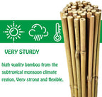 Mininfa Natural Bamboo Stakes 57 Inch (Approx 5 FEET), Eco-Friendly Garden Stakes, Plant Stakes Supports Climbing for Tomatoes, Trees, Beans, 20 Pack