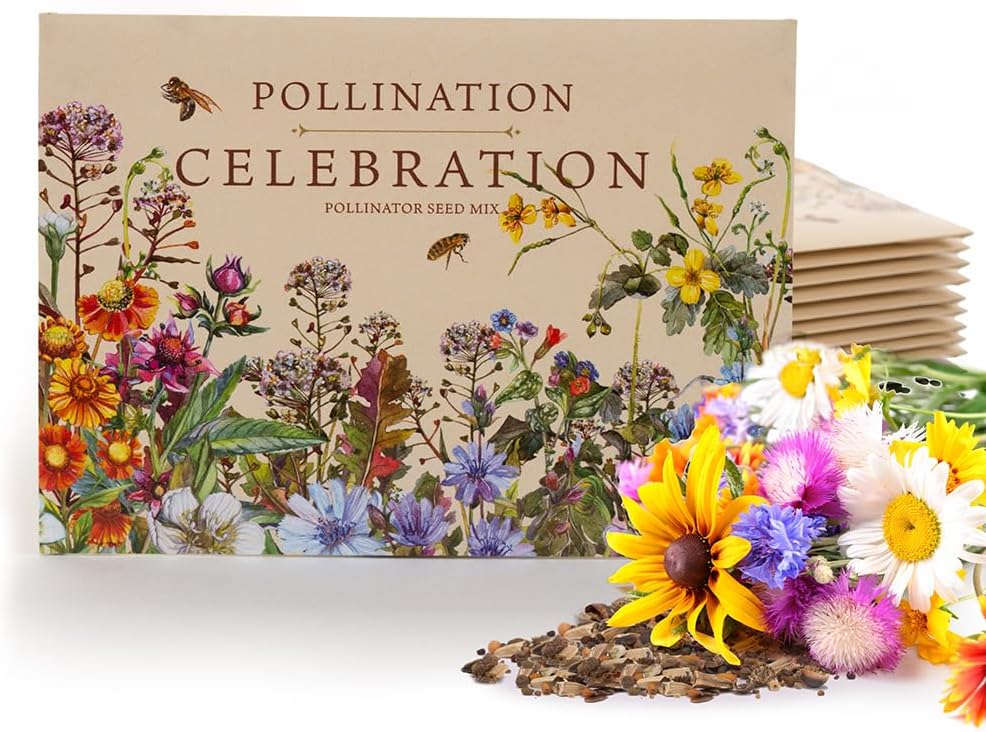 Bentley Pollination Celebration Wildflower Seed Packets, Non-GMO, Uncoated Flower Mix for Planting, Beautiful Garden Gift