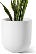 LE TAUCI 10 Inch Plant Pot, Ceramic Pots for Plants with Drainage Hole and Rubber Plug, Plant Pots Indoor for Olive Tree, Cylinder Planter Pot for Home Patio Office, White