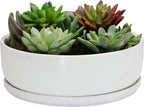 SQOWL 8 inch White Round Ceramic Succulent Planter Pot Modern Flower Cactus herb Big Planter with Removable Saucer Indoor or Outdoor