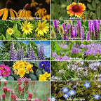 Save the Bees Wildflower Seed Shaker - ~100,000+ Wild Flower Seeds for Planting - Beautiful Easy to Sow Seed Shaker - 19 Varieties to Attract Bees & Other Pollinators - 3 oz. of Seed Covers ~370 sq ft
