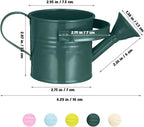 5 Pack Small Metal Watering Can for Kids, Mini Plant Water Pot for Indoor Outdoor Gardening, Cute Toddler Beach Sand Bath Toys with Sprinkler Head, Tiny Succulent Bonsai Cans, 6oz