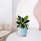 LB Blue Ceramic Planters for Indoor Plants, Succulent Plant Pots Ceramic Plant Pot, Modern Flower Pots for Living Room Office Home Decor, Round Flower Pot of 4.3 Inch(Plant Not Included)