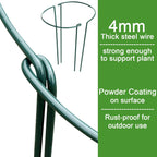 HiGift 16 Pack Plant Support Stakes, Half Round Metal Garden Plant Stake Indoor Peony Cages and Supports, Green Plant Support Ring Border for Tomato,Hydrangea,Flower Outdoor (10" Wide x 15.8" High)
