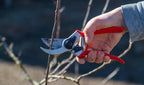 – Professional Bypass Hand Pruning Shears – Durable, Heavy Duty, Landscaping Secateurs/Scissors/Clippers-Trim your Garden, Rose Bushes, Gardenias and Outdoor Hedges