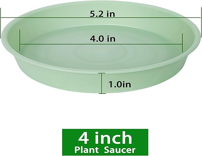 6 Pack Plastic Plant Saucer Water Drip Tray, 4 5 6 7 8 9 10 11 12 13 15 17 19 inch, Heavy Sturdy Plant Drainage Tray for Indoors Outdoor, Saucers for Pots Base (4", Light Green)