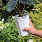 BangQiao 8 Pack 6.10 Inch White Plastic Deep Nursery Pot and Seedling Planter for Succulent, Cutting, Transplanting