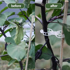 Plant Support Clips, Reusable Garden Clips Plant Holder Clips, Plastic Tomato Vine Grape Clips for String Trellis Plant Clips for Climbing Plants Support Outdoor Indoor Gardening Supplies (150, White)