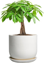 Ceramic Pot for Plants 7 Inch - Modern Round Indoor Outdoor Planter with Drainage Hole and Saucer, Home House Office Room Decor, White