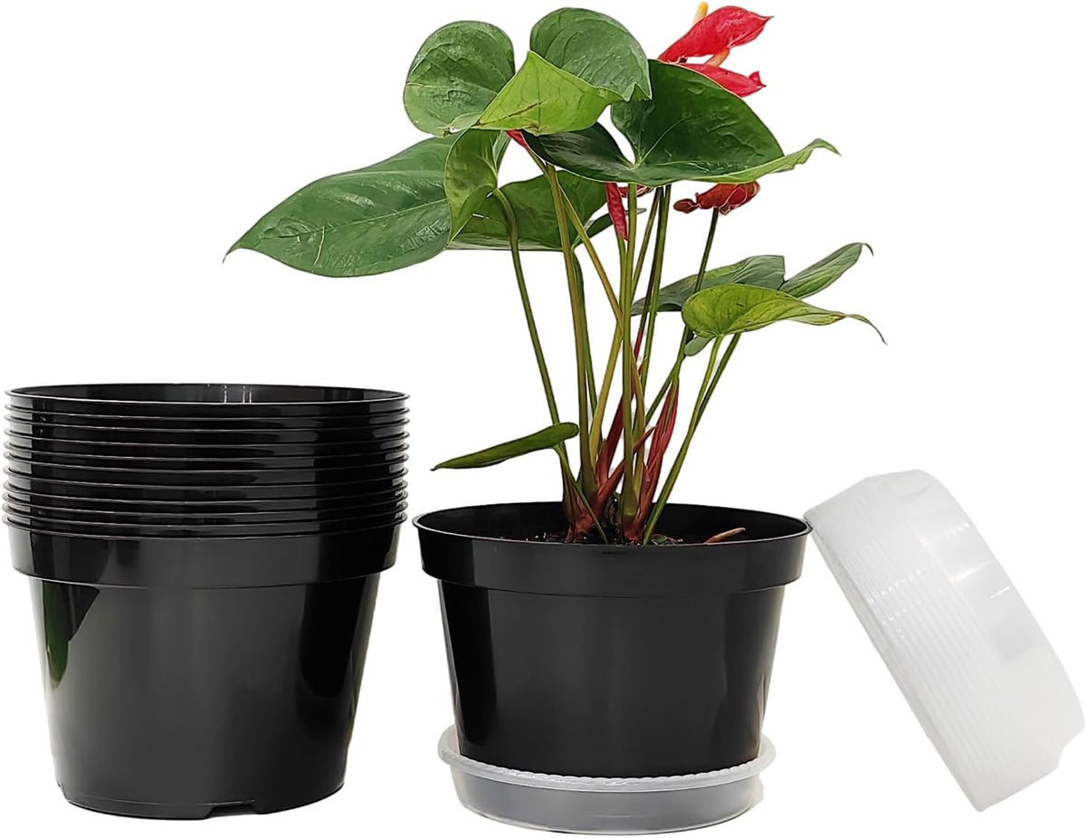 12 Pack Plant Pots, 8 Inch Plant Planter with Clear Saucer, Plastic Pots for Plants Indoor and Out Door Such as Strawberry, Herb and Flowers (Black)