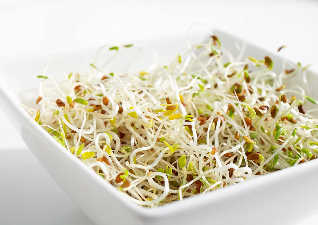 Food to Live - Organic Alfalfa Seeds for Sprouting, 10 Pounds Non-GMO, Edible Seeds, Pure, Vegan, Kosher. Rich in Vitamin K, Vitamin C. High Germitation Rate. Grow Sprouts, and Microgreens for Salads