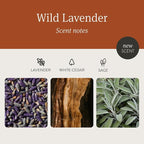 Drift Wild Lavender Scented Premium Candle - 60 Day Burn Time - 10.5 oz