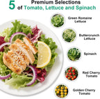 Spinach & Spring Mix Seed Pod Kit for AeroGarden, Ahopegarden, MUFGA with Red Cherry/Golden Cherry Tomato, Buttercrunch Lettuce, Green Romaine Lettuce and Spinach - Compatible with All Garden(7-Pod)