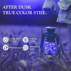 Aogist Led Fairy Lights 3 Modes Battery Operated String Lights Waterproof Silver Wire 7 Feet Firefly Starry Moon Mason Jar Lights for DIY Wedding Party Christmas (Blue, 8 Pack)