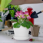 Hahood 36 Pack Plants Nursery Pots 4 Inches Plastic Flower Plant Pots Thickened Seedlings Nursery Pots with Tray White Flower Pots Gardening Plant Containers for Outdoor Indoor