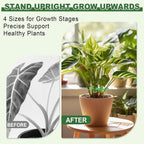 8pcs Plant Stem Support, Plant Support for Indoor Plants, 4 Sizes Climbing Houseplant Stem Holders, Reusable Plant Stabilizer, Indoor Plants Accessories