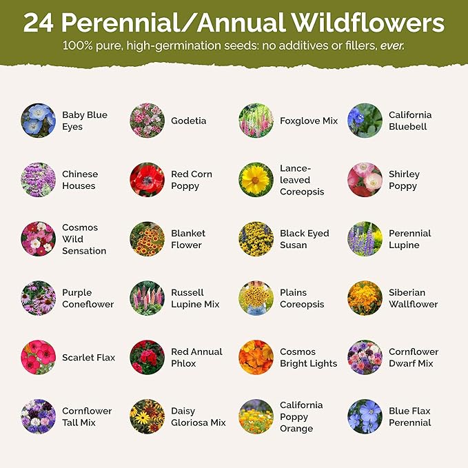 Eden Brothers Montana Wildflower Mixed Seeds for Planting, 1 lb, 480,000+ Seeds with Foxglove, Bluebell | Attracts Pollinators, Plant in Spring or Fall, Zones