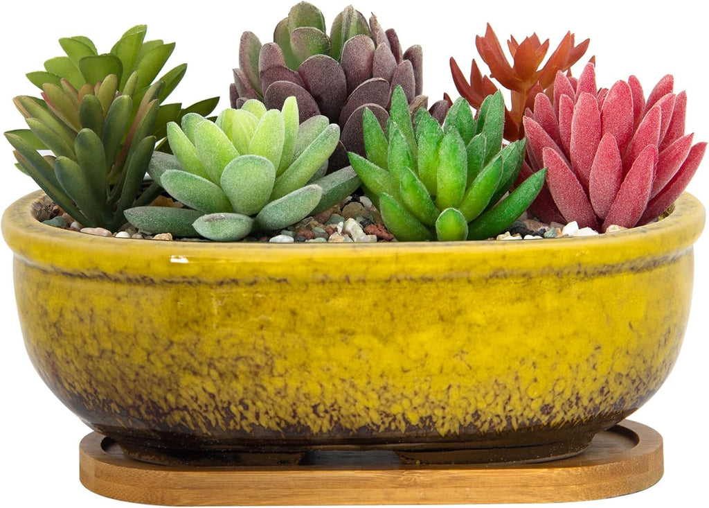 Succulent Pots, 7.9 Inch Long Rectangular Succulent Planters with Drainage Tray, Shallow Planters for Indoor Plants Ceramic Cactus Pots Glazed Bonsai Flower Plant Container for Home Windowsill Decor