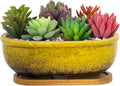 Succulent Pots, 7.9 Inch Long Rectangular Succulent Planters with Drainage Tray, Shallow Planters for Indoor Plants Ceramic Cactus Pots Glazed Bonsai Flower Plant Container for Home Windowsill Decor