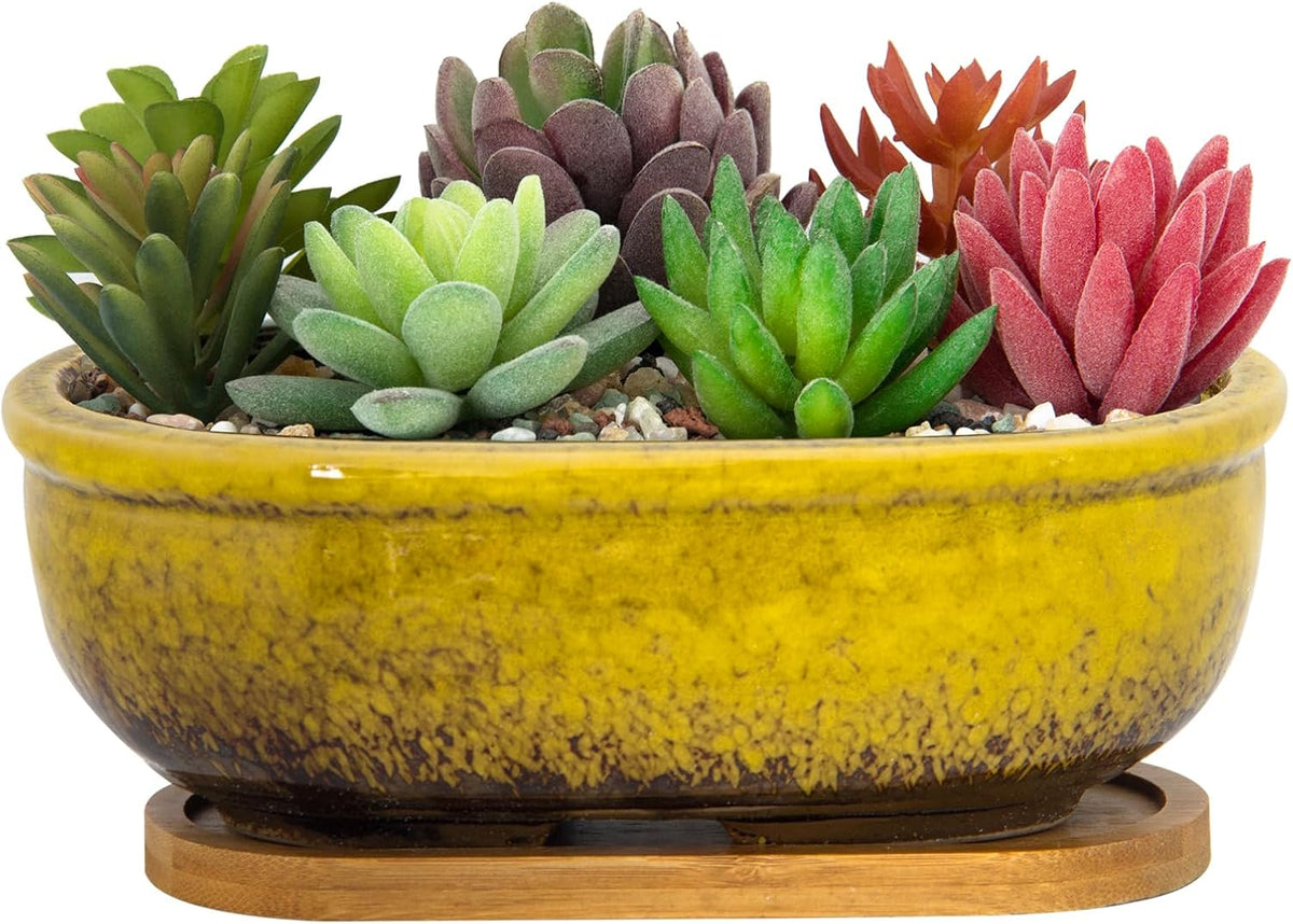 Succulent Pots, 7.9 Inch Long Rectangular Succulent Planters with Drainage Tray, Shallow Planters for Indoor Plants Ceramic Cactus Pots Glazed Bonsai Flower Plant Container for Home Windowsill Decor