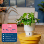 Costa Farms Albo Pothos Live Plant | Easy to Grow Trailing or Climbing Vine Houseplant | 1 Foot Tall | 6-Inch Self-Watering Indoor Plant Pot | Housewarming Gift | Room Decor