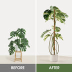 2 Pack Moss Pole, 63 Inch Bendable Moss Poles for Plants Monstera Long for Climbing Plants, Extra Large Handmade Pole Plant Sticks Support Stakes for Indoor Plants to Grow Upwards