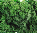Dwarf Siberian Kale Seeds for Planting – Plant & Grow Heirloom Non-GMO Dwarf Siberian Kale in Home Outdoor Vegetable Garden, Brassica Napus – 1 Packet Approx 200 Seeds