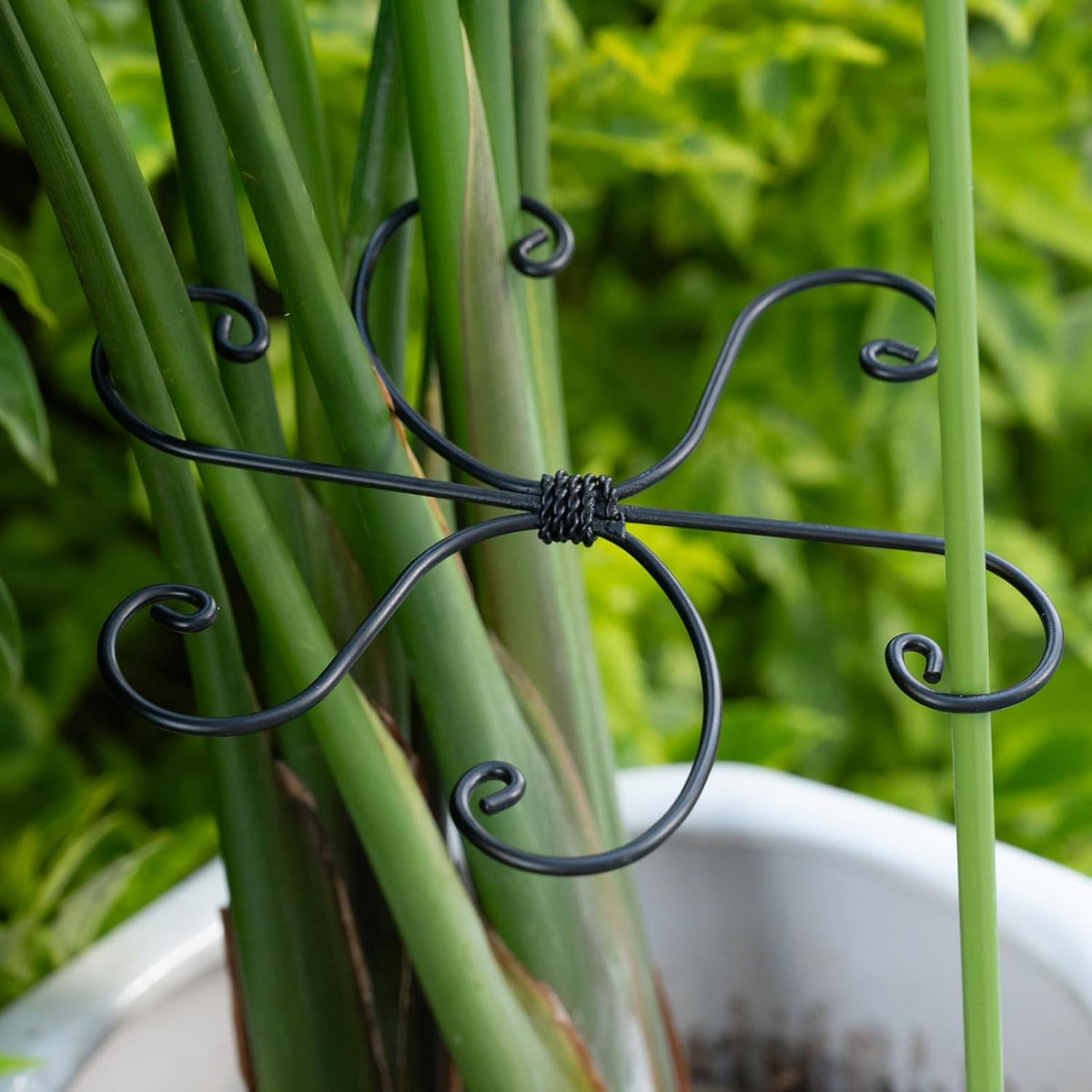 Black Monstera Plant Support Hook - 6.5 * 6.5IN -5 Piece Set, Durable Metal Stem Supports for Indoor Plants, Leaf Holder & Fishbone Cactus Stake, Stylish Design for Healthy Growth & Easy Care