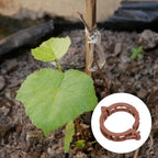 MECCANIXITY 300 Pcs Garden Plant Clips Fixing Clips Brown 30mm Adjusting Plant Lever Loop Clips for Supporting Flower Vine Vegetables Climbing Plant Plant Stems