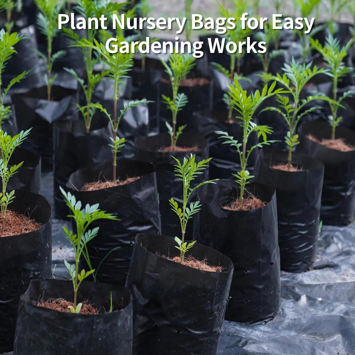OMISTAR 100 PCS Plant Nursery Bags, Plastic Seedling Pots Container for Fruit Tree Flower Plant Grow, Plant Nursery Bags for Gardening Transplant