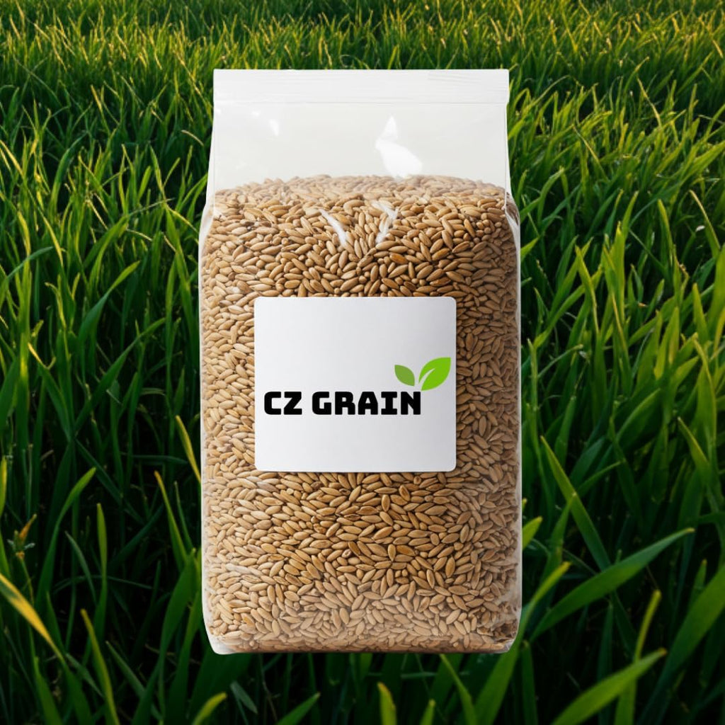 Perennial Ryegrass Seeds for Planting - Premium Quality Rye Grass Seed (10 Pounds)
