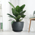 12inch Large Plant Pot, Modern Plastic Planter with High Driange Holes and Saucer for Indoor Outdoor Garden Plants and Flowers, Black with Green Speckles