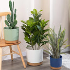 ZMTECH Plant Pots, Set of 6 6.5'' Self Watering Plastic Planter with Drainage Hole and Saucer,Modern Decorative Flower Pot for Indoor Outdoor House Plants, Succulents, Flowers - Blue