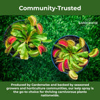 100% Organic Marina Mist Carnivorous Plant Food | Liquid Kelp Foliar Spray for Plants - Kelp Fertilizer for Venus Flytraps, Sundew, Butterworts, Pitcher Plants 16 Oz