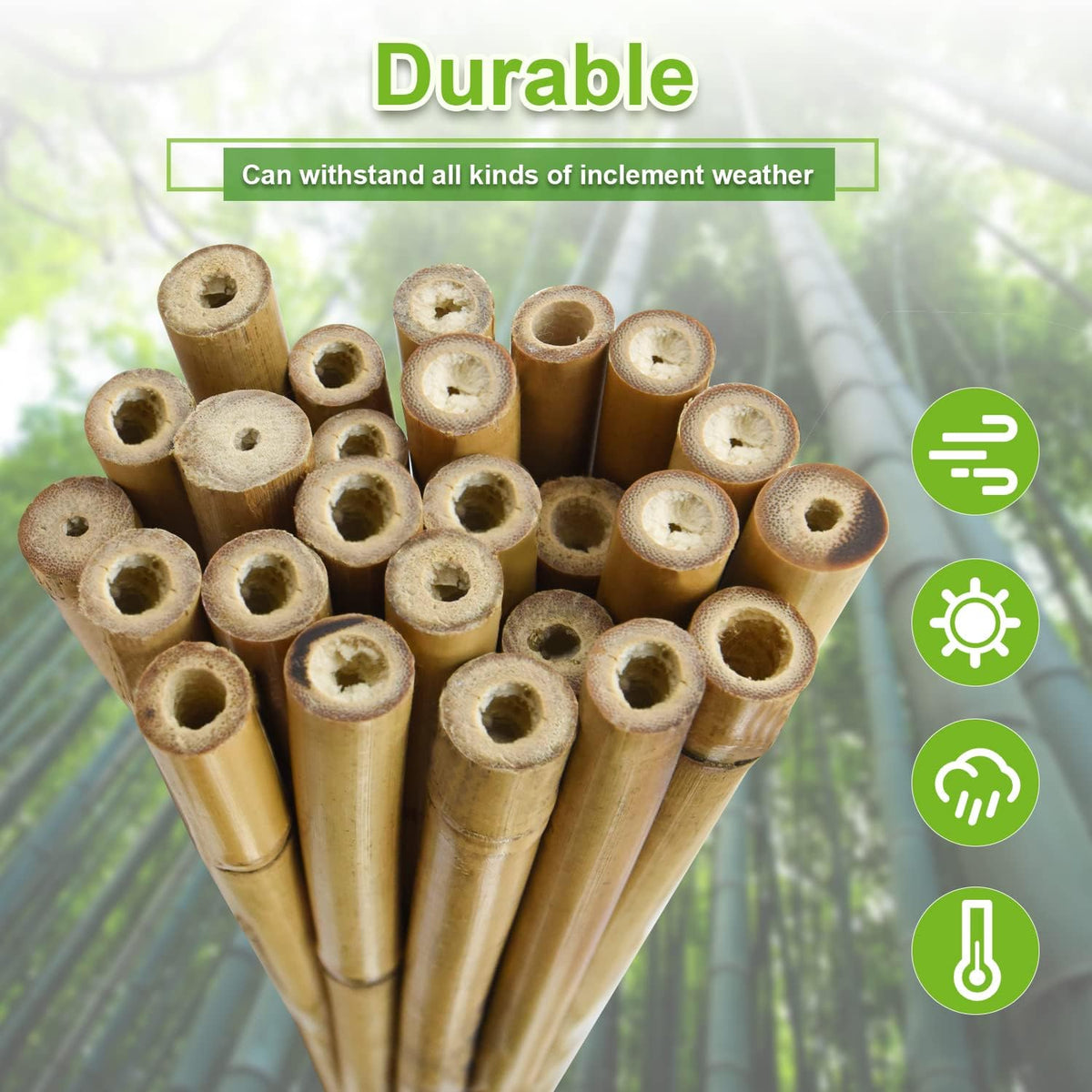 25pcs 1/2" D Thicker Heavy Duty Bamboo Stakes, 4FT Plant Stakes, Natural Garden Stakes for Tomato, Bean, Flowers,Trees Potted and Climbing Plant Support