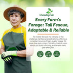 Outsidepride Forage Tall Fescue Grass Seeds - 25 lb. Perennial, Drought-Tolerant & Easy to Grow, Pasture Seeds for Planting Soft & Abundant Grass, Great for Grazing Livestock & Hay Production