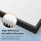 Air400 Filter Replacement for Bissell Air400, 2 True HEPA and 2 Carbon Filter with 8 Pre-Filter, Compared to Part #2521,2520,3365