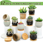 Remerry 6 Pcs Small Succulent Pots Bulk with Drainage Assorted 3.5 Inch Mini Ceramic Succulent Planters Pot with Coaster Bamboo Plant Tray Planting Pots for Home Office Garden