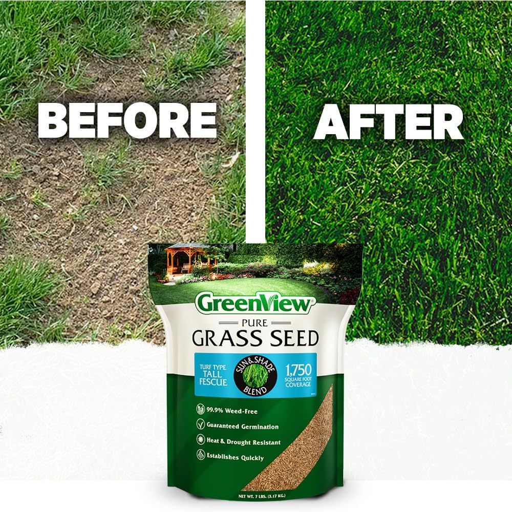 GreenView Pure Grass Seed Turf Type Tall Fescue Sun & Shade Blend, 3 lb. Bag – Covers up to 750 sq. ft.