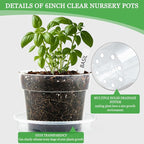 BTPLASTIK Clear Plastic Nursery Pots for Plants, 6 Inch Transparent Plant Pot with Drainage Holes, Flower Pots with Saucers, Seed Starter Pots with 15 Pcs Plant Labels, Gardening Gifts