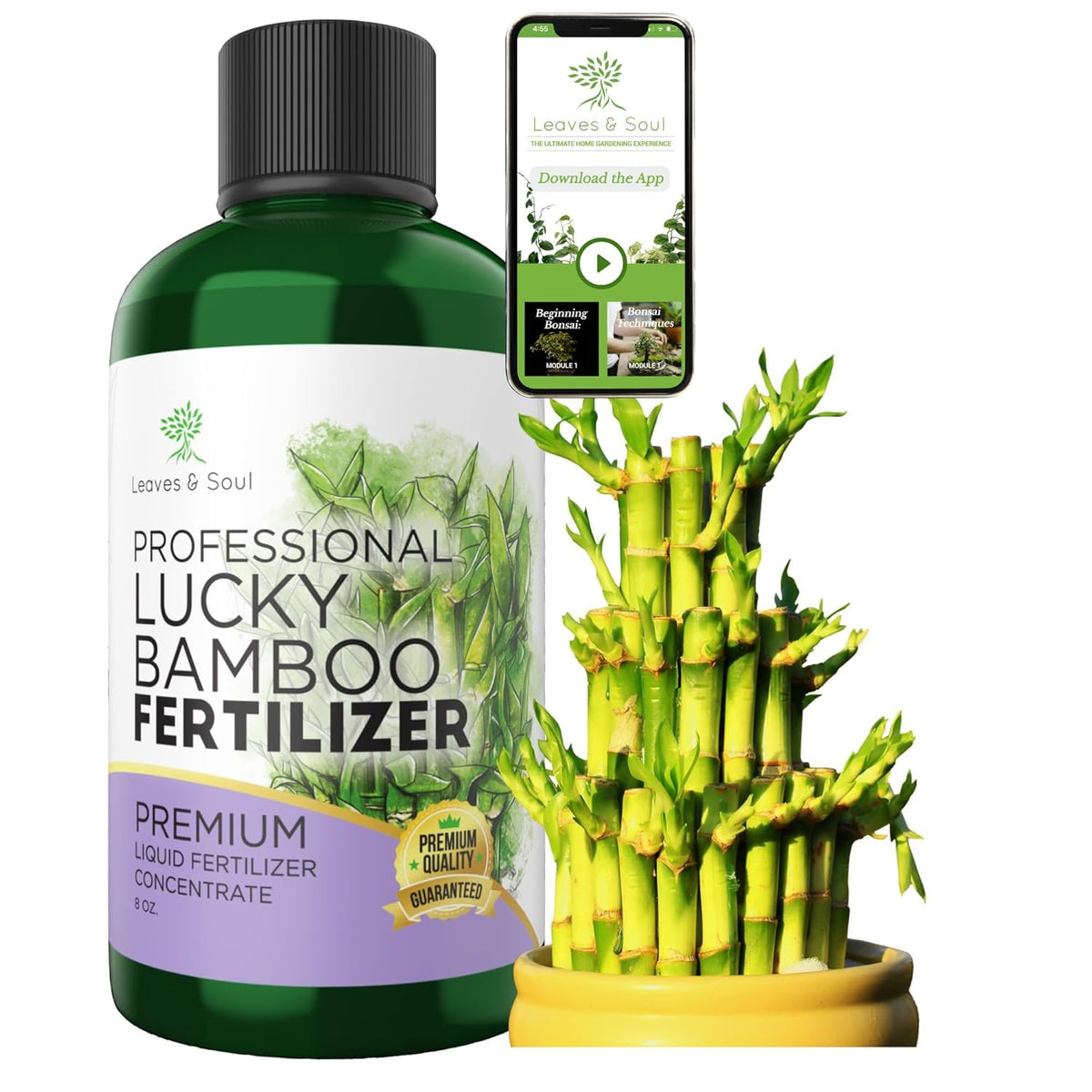Professional Liquid Lucky Bamboo Fertilizer | 3-1-2 Concentrate for Flowering Plants | Multi-Purpose Blend & Gardening Supplies | 8 oz Bottle