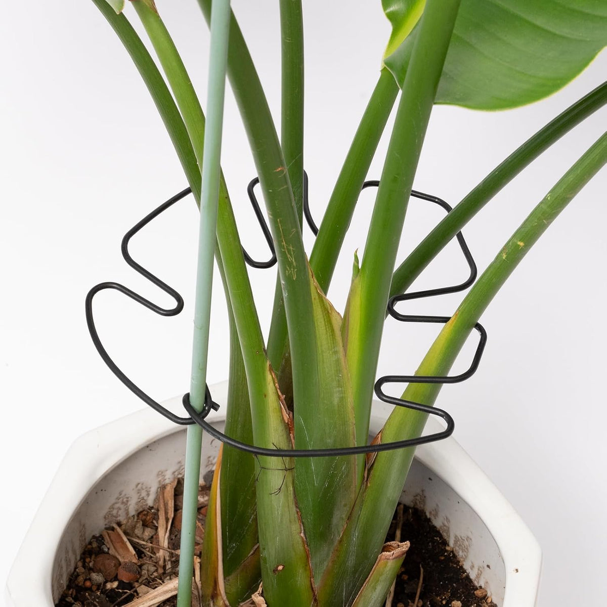5PCS Monstera Plant Stem Support -7.3*6.25IN Adjustable Metal Stake for Climbing Plants, Durable Garden Support with Gentle Grips, Ideal for Indoor & Outdoor Use, Ideal Gift for Plant Lovers