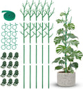 NiHome 50" Plant Support Stakes 5-Pack for Indoor & Outdoor Garden Climbing Plants Enhances Upright Growth - UV-Resistant, Non-Rotting Plastic Natural Branch Look for Pothos, Clematis, Ivies (Green)