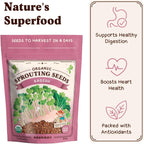 Seedboy Organic Non-GMO Radish Seeds for Sprouting - USA Grown Microgreens Sprouting Seeds - 8 oz Bag Makes 8 Quarts / 24 Servings (Daikon Radish)